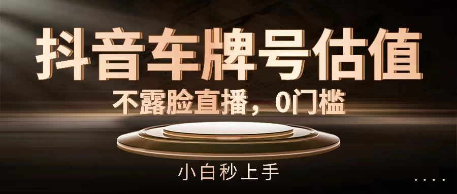 抖音车牌号估值，不露脸直播，0门槛，小白秒上手 - 项目资源网 - 项目资源网