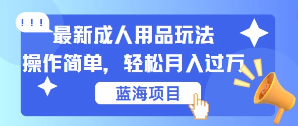 最新成人用品项目玩法，操作简单，蓝海项目轻松月入过万 - 项目资源网 - 项目资源网