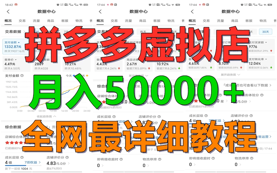拼多多虚拟电商月入50000+你干你也行，暴利稳定长久，副业首选 - 项目资源网 - 项目资源网
