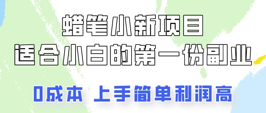 蜡笔小新项目拆解，小白一个月也能多赚3000+ - 项目资源网 - 项目资源网