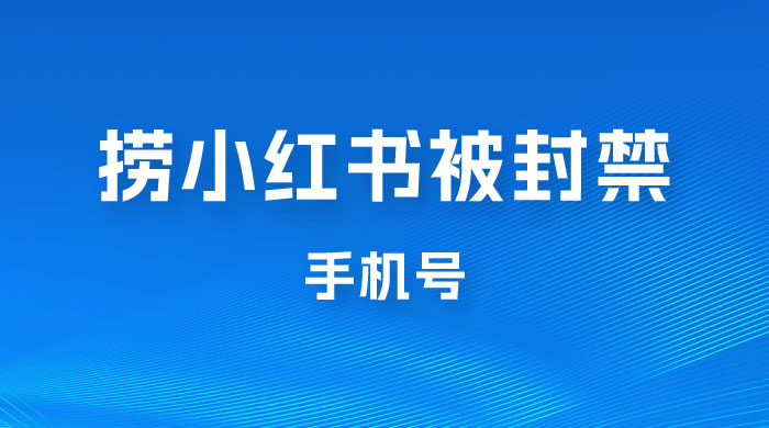 捞小红书被封禁手机号，小红书被封号禁言账号手机换绑 - 项目资源网 - 项目资源网