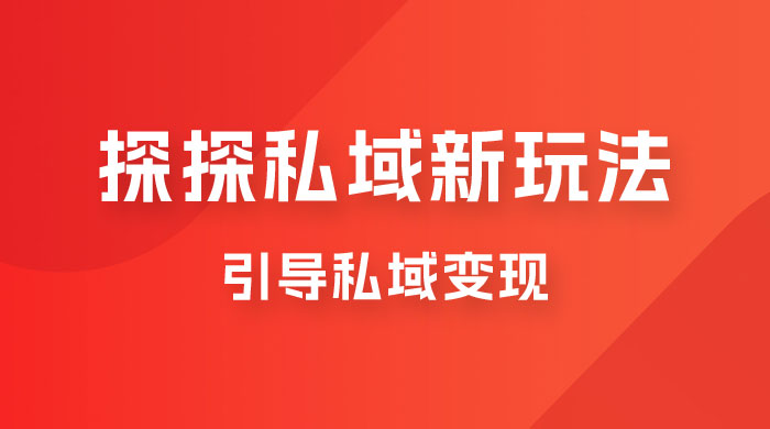 探探私域新玩法，引导私域变现，一部手机日入 500+ 很轻松 - 项目资源网 - 项目资源网