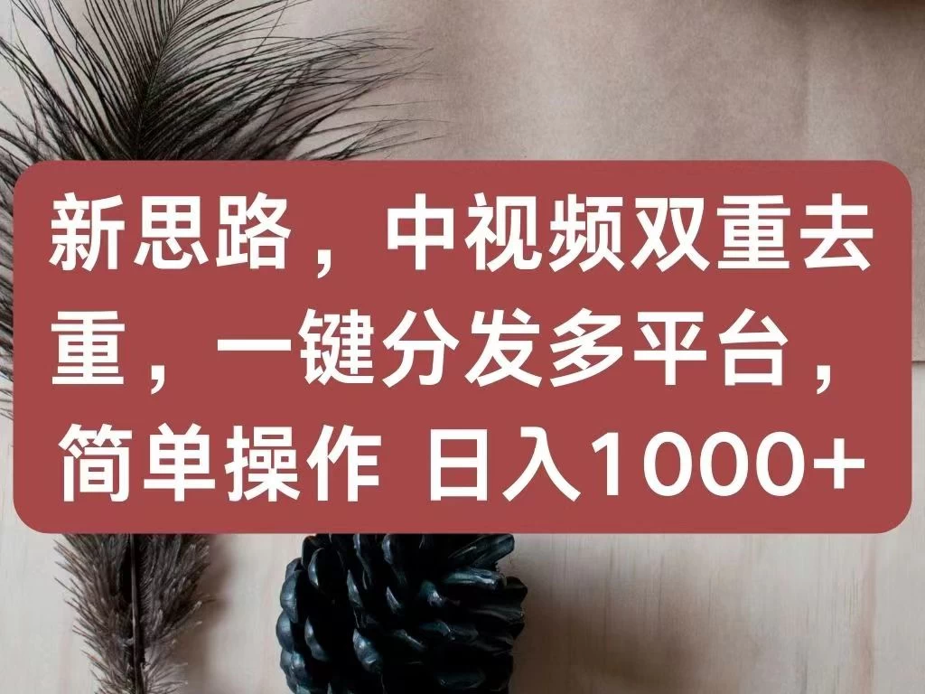 新思路，中视频双重去重，一键分发多平台，简单操作，日入1000+！快来试试吧！ - 项目资源网 - 项目资源网