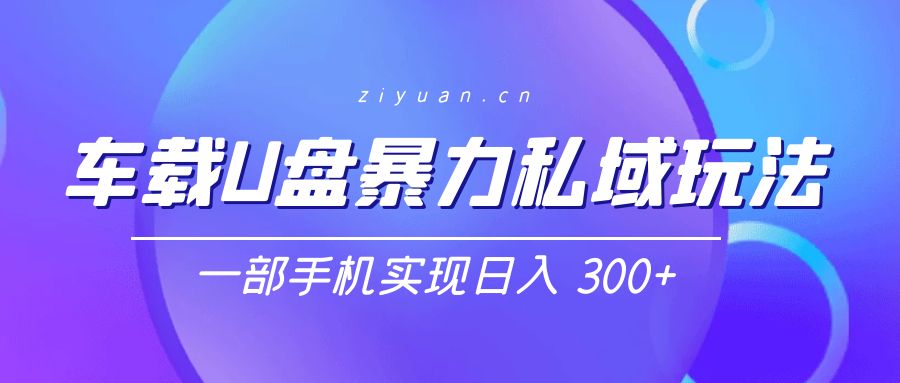 车载 U 盘暴力私域玩法：一部手机实现日入 300+ - 项目资源网 - 项目资源网