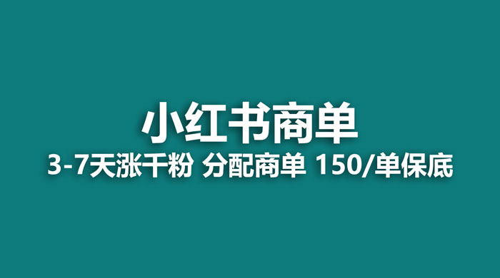 2023最强蓝海项目，小红书商单项目，没有之一 - 项目资源网 - 项目资源网