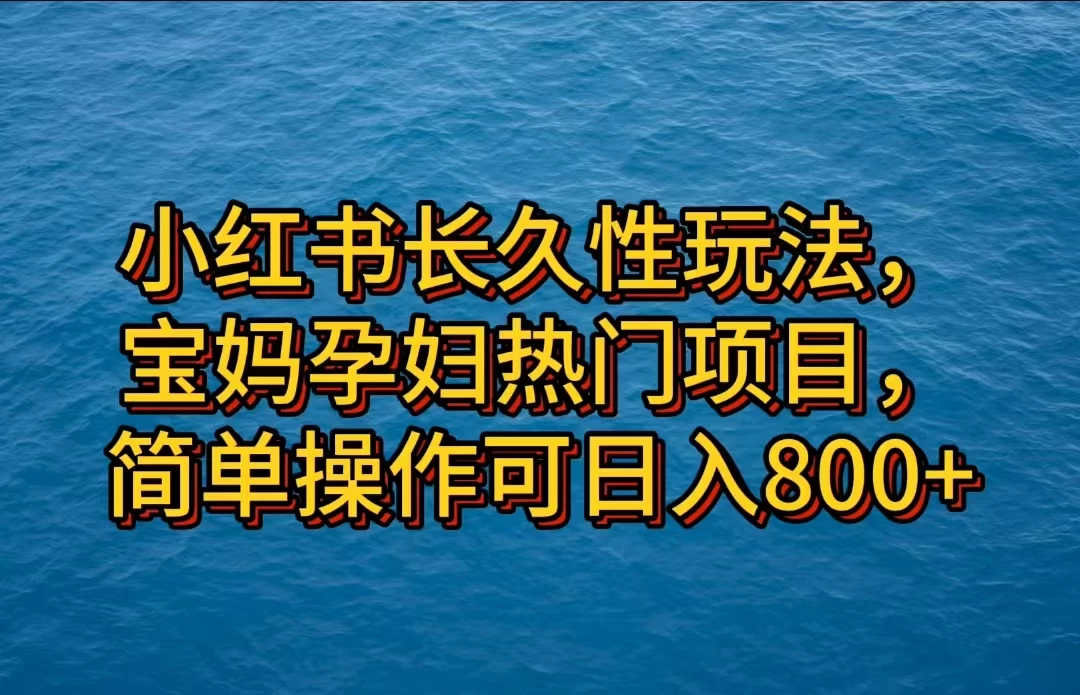 小红书长久性玩法，宝妈孕妇热门项目，简单操作可日入800+ - 项目资源网 - 项目资源网