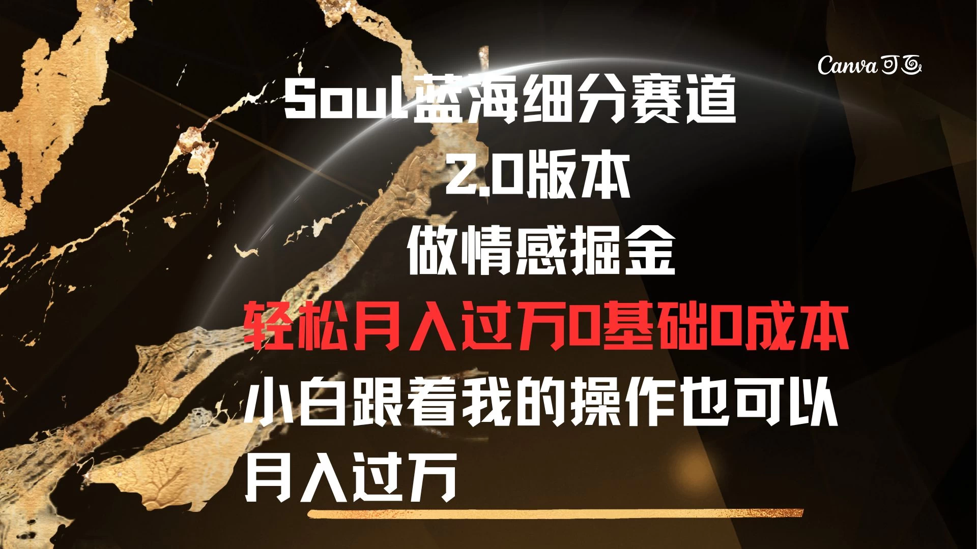 Soul蓝海细分赛道，2.0版本，做情感掘金，轻松月入过万，0基础，0成本，小白跟着我的操作也可以月入过万 - 项目资源网 - 项目资源网