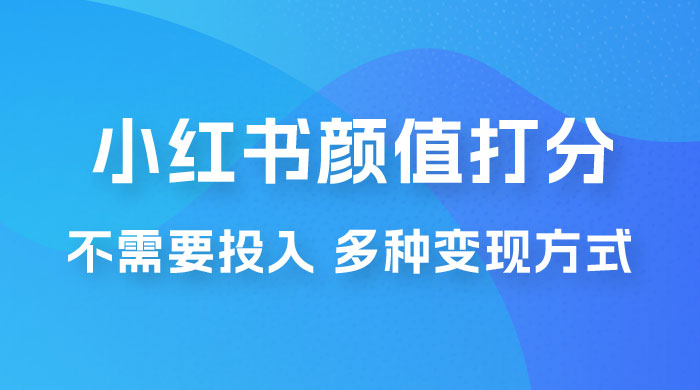 小红书颜值打分新玩法，不需要投入，适合所有人的一份副业，多种变现方式！ - 项目资源网 - 项目资源网