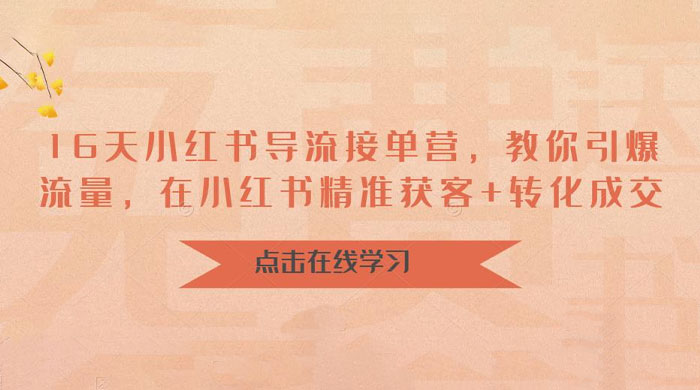 16 天小红书导流接单营：教你引爆流量，在小红书精准获客+转化成交 - 项目资源网 - 项目资源网