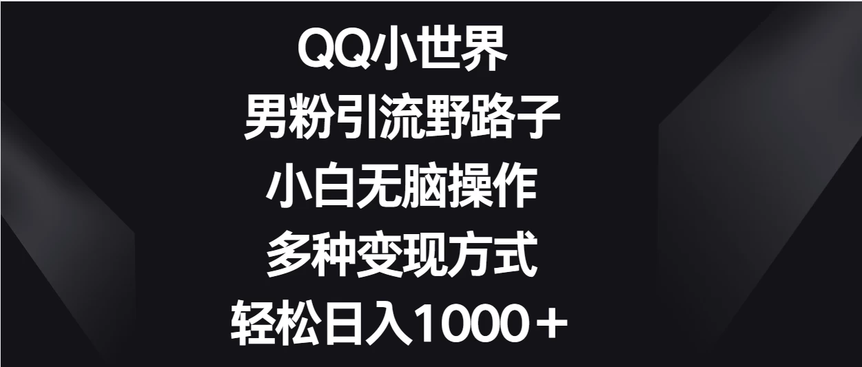 QQ小世界男粉引流野路子，小白无脑操作，多种变现方式轻松日入1000＋ - 项目资源网 - 项目资源网