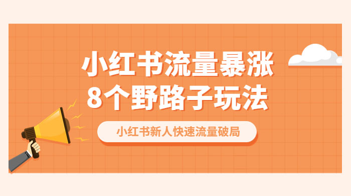 小红书流量暴涨 8 个野路子玩法：小红书新人快速流量破局（ 8 节课） - 项目资源网 - 项目资源网