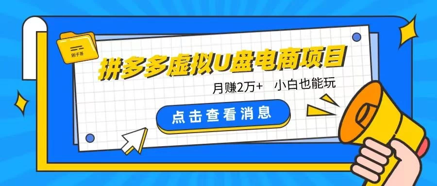 拼多多虚拟U盘电商红利项目：月赚2万+，新手小白也能玩 - 项目资源网 - 项目资源网