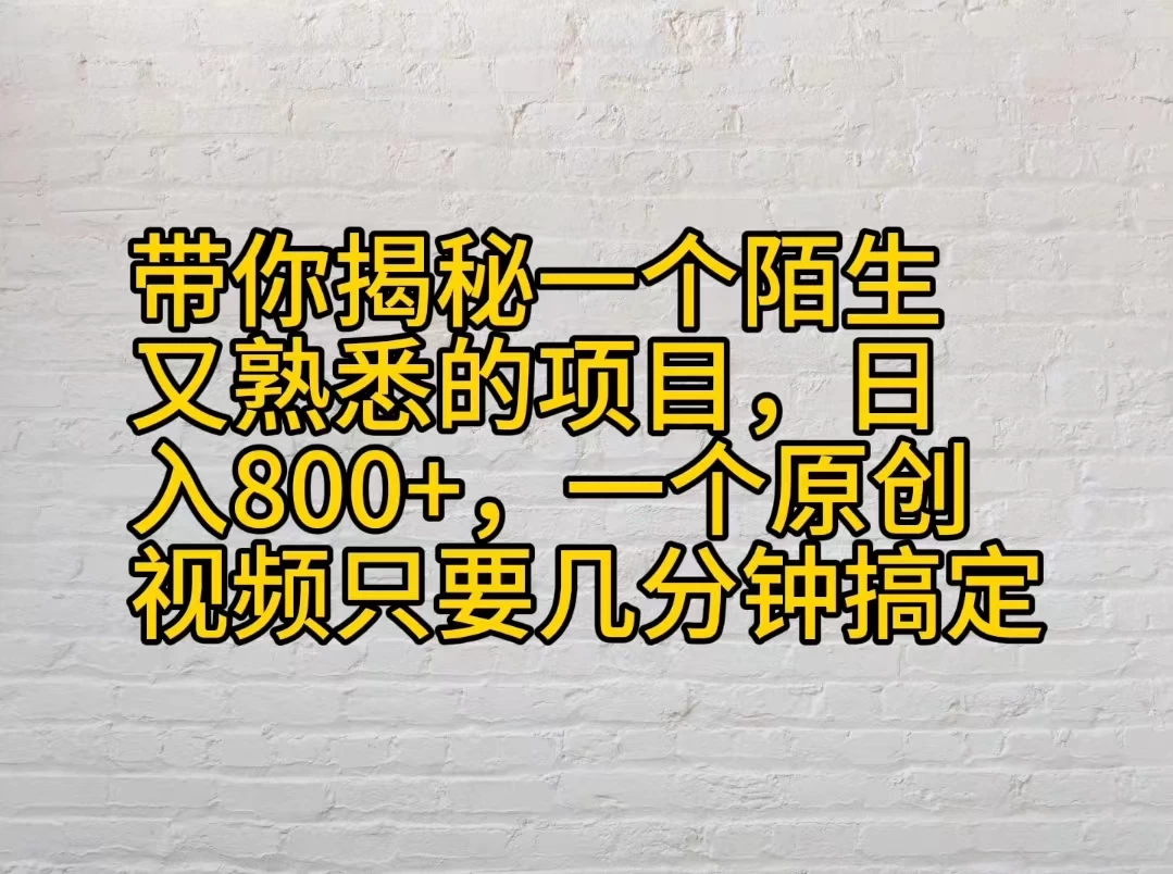 带你揭秘一个陌生又熟悉的项目，日入800+，一个原创视频只要几分钟搞定 - 项目资源网 - 项目资源网