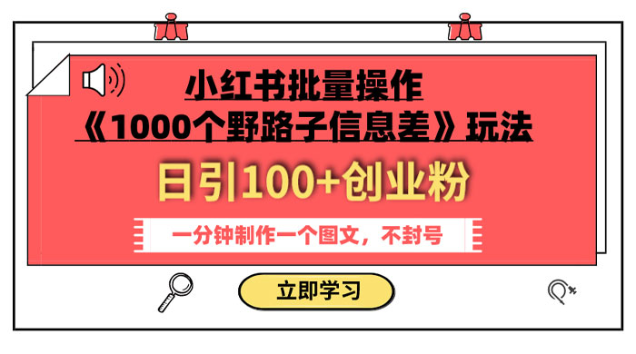 小红书批量操作《 1000 个野路子信息差》玩法，日引 100+ 创业粉，一分钟一个图文 - 项目资源网 - 项目资源网