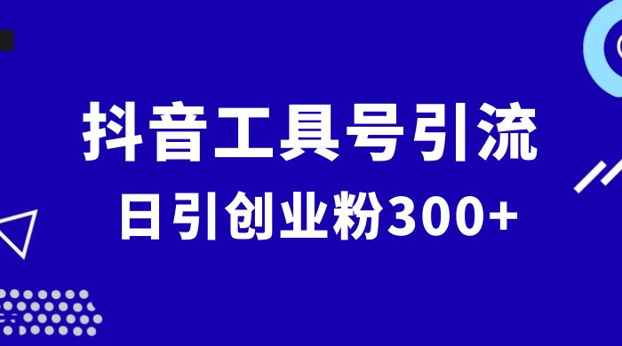 抖音工具号引流玩法，日引创业粉 300+ - 项目资源网 - 项目资源网