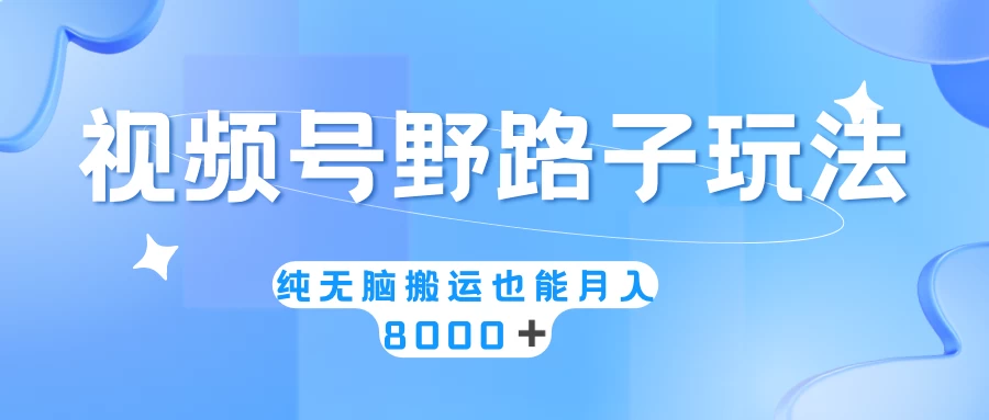 视频号野路子玩法，纯无脑搬运小白可做，月入8000+ - 项目资源网 - 项目资源网