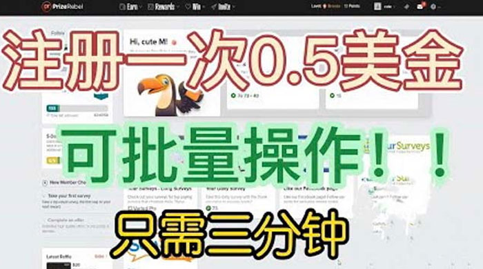 国外注册一次 0.5 美金项目：只需三分钟无脑操作、小白工作室福利 - 项目资源网 - 项目资源网