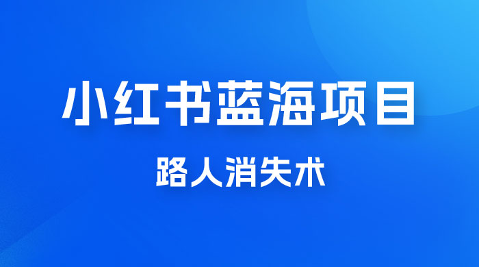 小红书蓝海项目，路人消失术，实测一天 300+ - 项目资源网 - 项目资源网