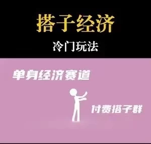 靠搭子经济月入5万每天两小时简单无脑好上手 - 项目资源网 - 项目资源网