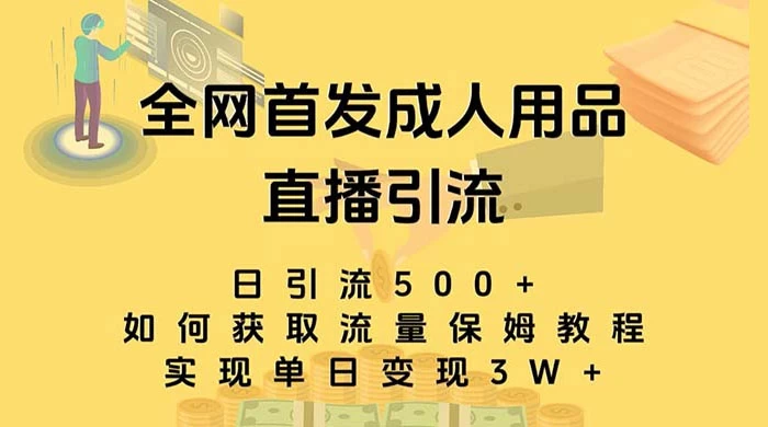 成人用品直播引流获客暴力玩法，单日引流500+，变现 3w+，保姆级教程 - 项目资源网 - 项目资源网